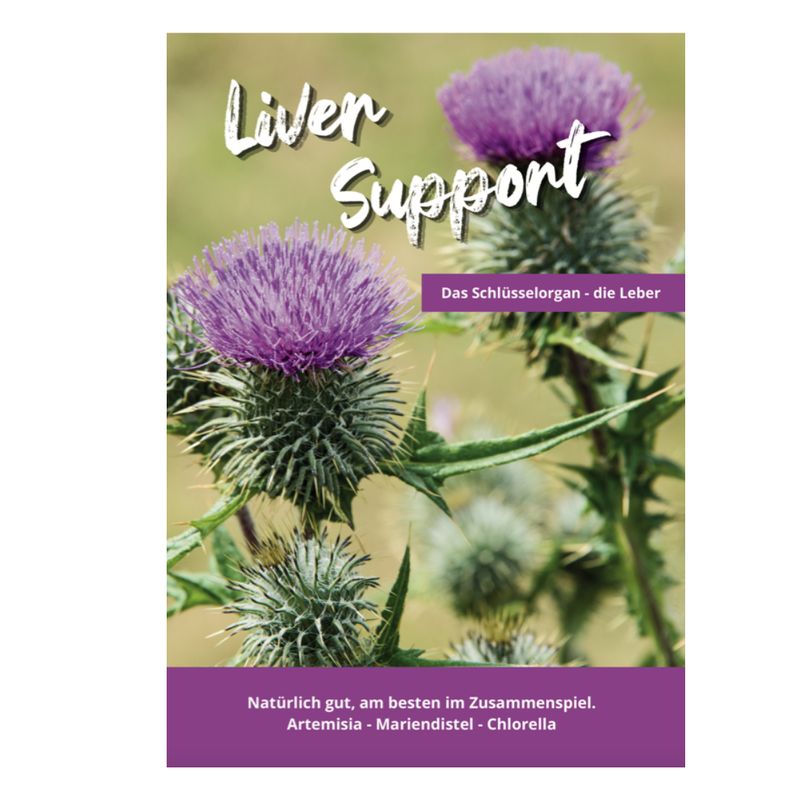 LIVER SUPPORT - FLYER