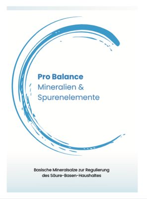 Pro Balance Flyer
