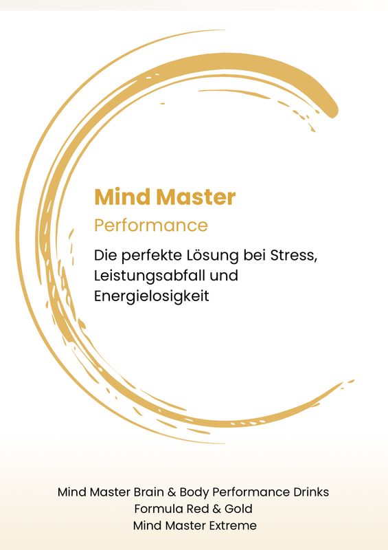 MIND MASTER - FLYER