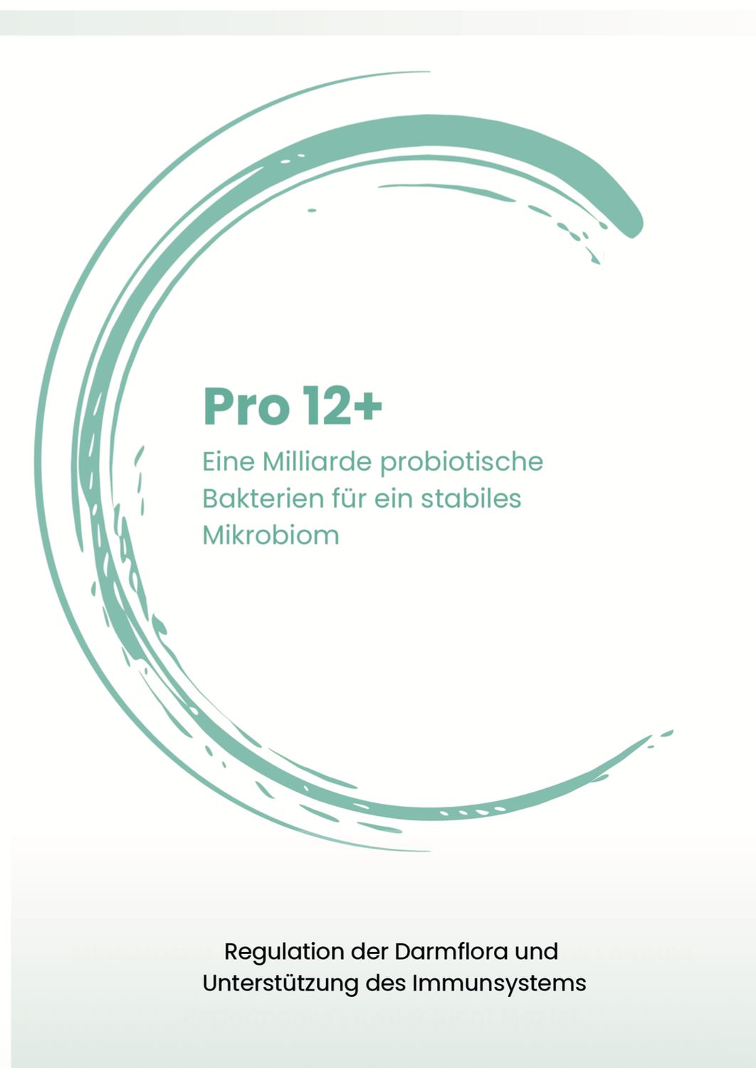 Pro 12+ Flyer