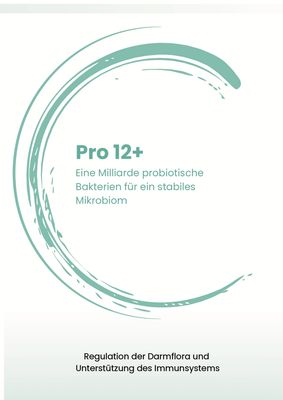 Pro 12+ Flyer