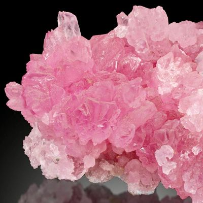 Rhodonite Flower Quartz Bracelet 7.0 mm