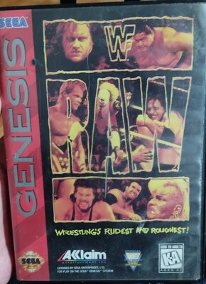 SJ RAW Genesis Usado Completo