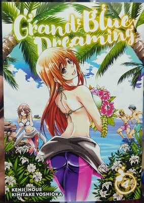 Grand Blue Dreaming Manga Volumen 4 Ingles