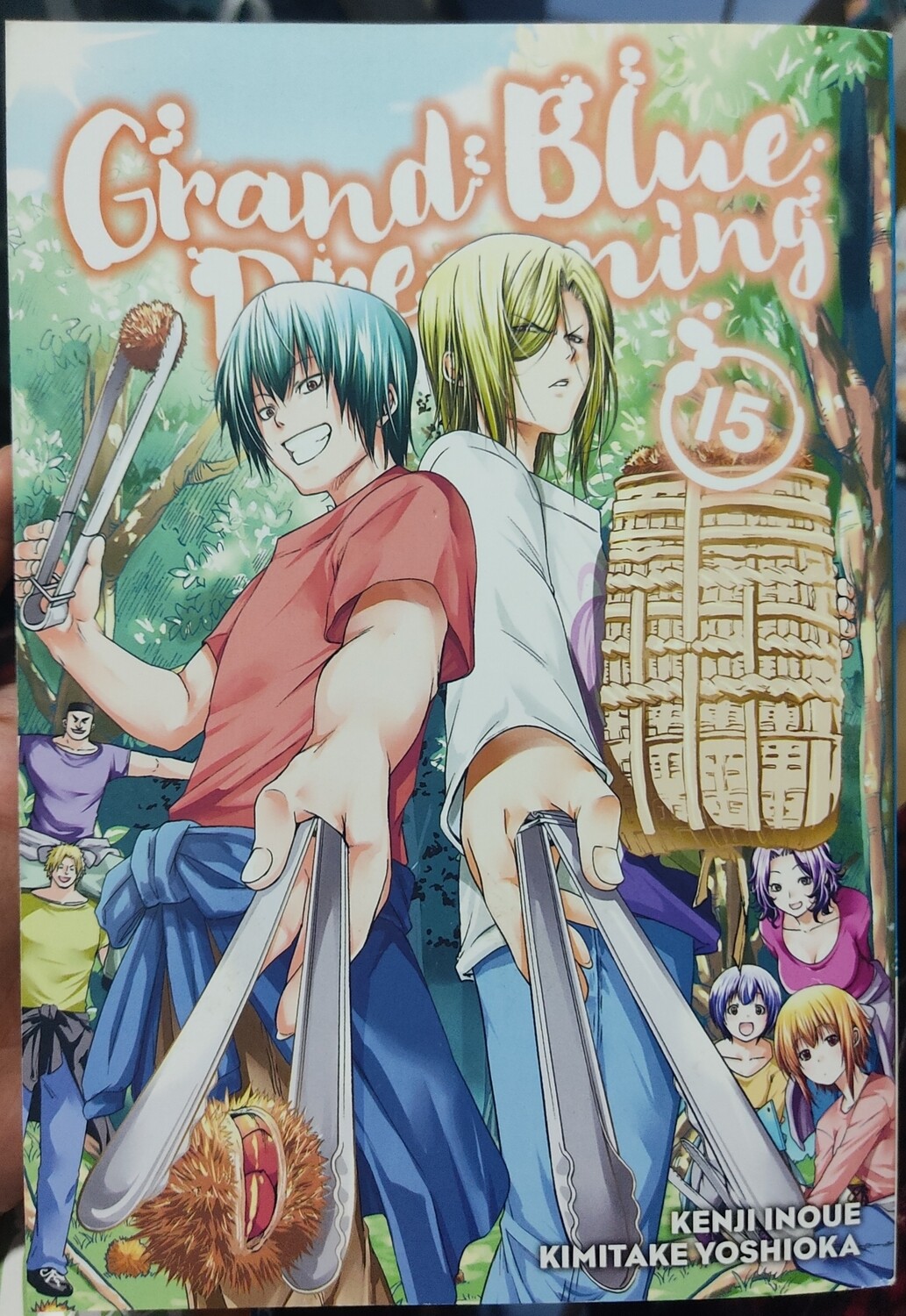 Grand Blue Dreaming Manga Volumen 15 Ingles