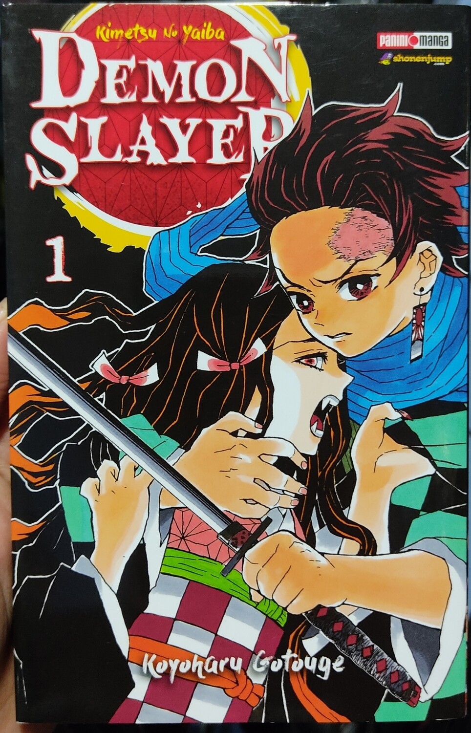 BA Kimetsu no Yaiba Demon Slayer Manga Volumen 1 Espanol Panini