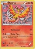 Moltres - 9/124 - Rare
XY: Fates Collide Singles