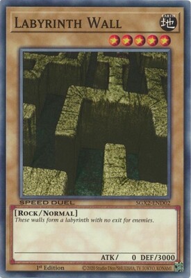 Labyrinth Wall - SGX2-END02 - Common 1st Edition
Speed Duel GX: Midterm Paradox Box Singles