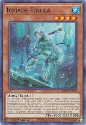 Icejade Tinola - BODE-EN009 - Common 1st Edition
Burst of Destiny 1st Edition Singles