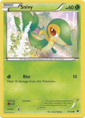 Snivy - 5/124 - Common
XY: Fates Collide Singles