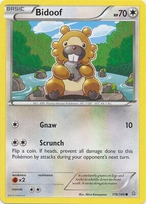 Bidoof - 116/160 - Common XY: Primal Clash Singles