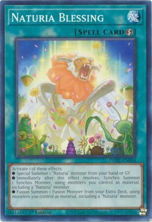 Naturia Blessing - DABL-EN064 - Common 1st Edition Darkwing Blast 1st Edition Singles
