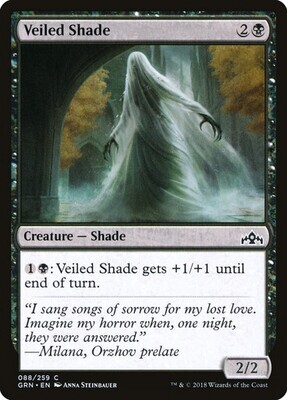 Veiled Shade
Guilds of Ravnica
English
Non-foil