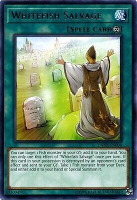 Whitefish Salvage - DANE-EN098 - Rare Unlimited Dark Neostorm Unlimited Singles