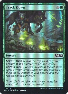 Track Down 211/274 - Foil
Magic 2021 (M21) Foil Singles