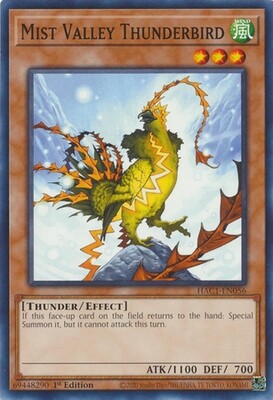 Mist Valley Thunderbird - HAC1-EN056 - Common 1st Edition
Hidden Arsenal: Chapter 1 1st Edition Singles