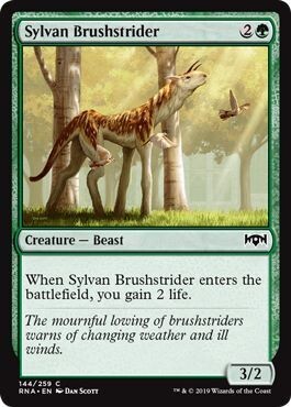 Sylvan Brushstrider 144/259 Ravnica Allegiance Singles *Espanol*
