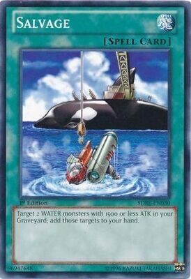 Salvage - SDRE-EN030 - Common 1st Edition Structure Deck: Realm of the Sea Emperor 1st Edition Singles