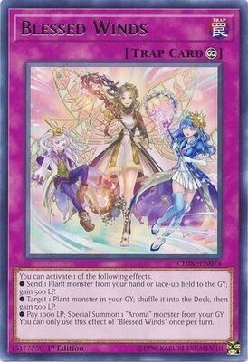 Blessed Winds - CHIM-EN074 - Rare 1st Edition Chaos Impact 1st Edition Singles