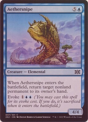 Aethersnipe 037/331 - Foil
Double Masters 2022 Foil Singles