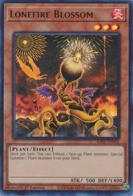 SJ Lonefire Blossom - RA01-EN002 - Ultra Rare
25th Anniversary Rarity Collection Singles