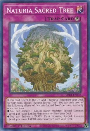 Naturia Sacred Tree - SDBT-EN037 - Common 1st Edition Beware of Traptrix 1st Edition Singles (espanol)
