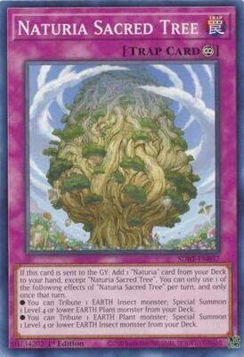 Naturia Sacred Tree - SDBT-EN037 - Common 1st Edition Beware of Traptrix 1st Edition Singles