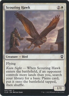 Scouting Hawk 41/361
Commander Legends: Battle for Baldur&#39;s Gate Singles