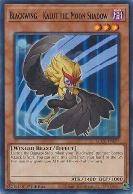 Blackwing - Kalut the Moon Shadow - MAZE-EN037 - Rare 1st Edition Maze of Memories 1st Edition Singles