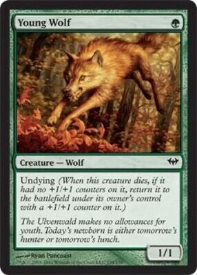 Young Wolf Dark Ascension Singles