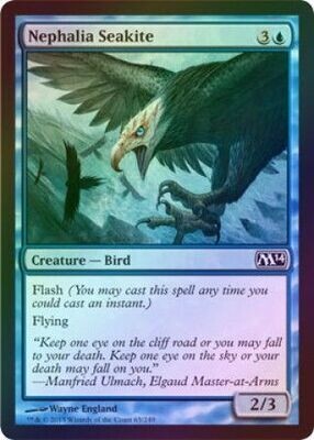 Nephalia Seakite - Foil
Magic 2014 (M14) Foil Singles   (Español)