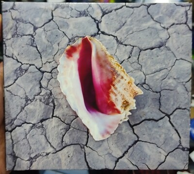 The Killers Wonderful Wonderful CD Musica Original Usado Completo