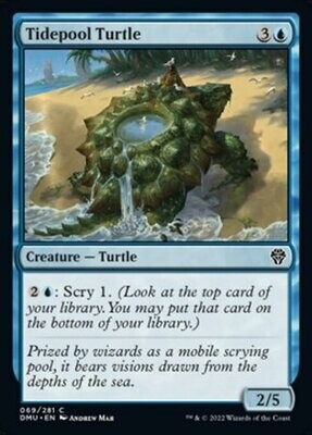 Tidepool Turtle 069/281 - Dominaria United Singles  (Español)