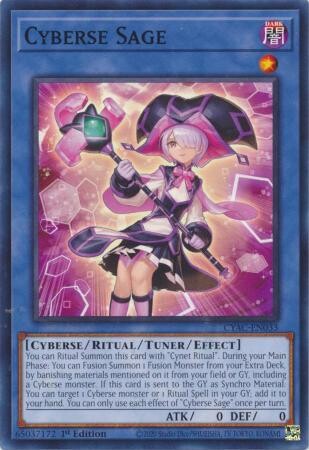 Cyberse Sage - CYAC-EN033 - Common 1st Edition Cyberstorm Access 1st Edition Singles