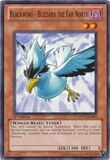 SJ Blackwing - Blizzard the Far North - DP11-EN003 - Common 1st Edition
Duelist Pack: Crow [DP11]