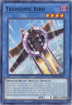 Transonic Bird - BODE-EN037 - Common 1st Edition
Burst of Destiny 1st Edition Singles (Espanol)