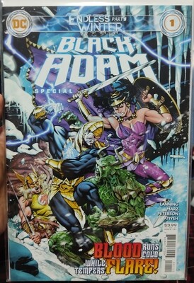 Black Adam Special Issue Endless Winter DC Comics Ingles
