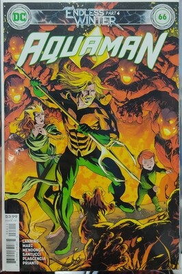 Aquaman Issue 66 DC Comics Ingles Endless Winter