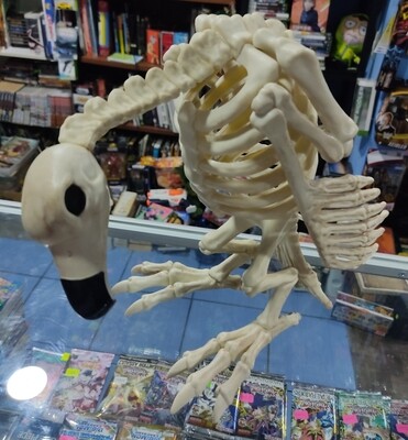 Buitre Esqueleto 12 Pulgadas Halloween