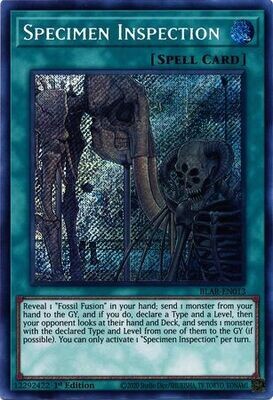 SH Specimen Inspection - BLAR-EN013 - Secret Rare 1st Edition Battles of Legend: Armageddon 1st Edition Singles