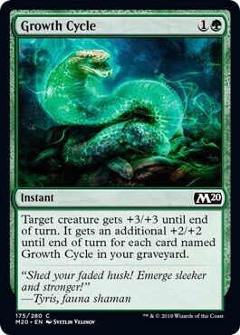 Growth Cycle 175/280 -  Magic 2020 (M20) Singles  (Español)