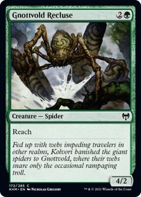 Gnottvold Recluse 172/285 Kaldheim Singles