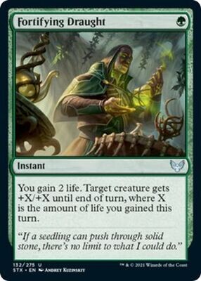 Fortifying Draught 132/275 - Strixhaven: School of Mages Singles  (Español)