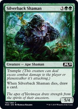 Silverback Shaman 195/280 Magic 2020 (M20) Singles (español)