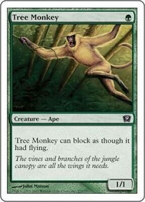 Tree Monkey
MTG 9th Edition Singles