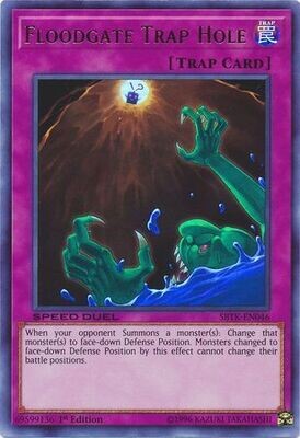 Floodgate Trap Hole - SBTK-EN046 - Ultra Rare 1st Edition
Speed Duel: Trials of the Kingdom Singles