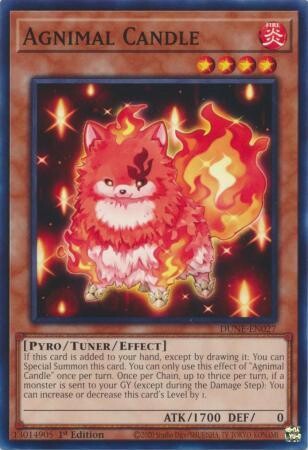 Agnimal Candle - DUNE-EN027 - Common 1st Edition
Duelist Nexus 1st Edition Singles