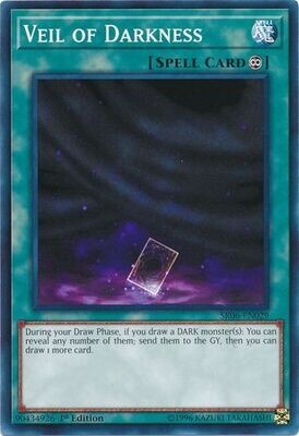 Veil of Darkness - SR06-EN029 - Common 1st Edition Lair of Darkness 1st Edition Singles