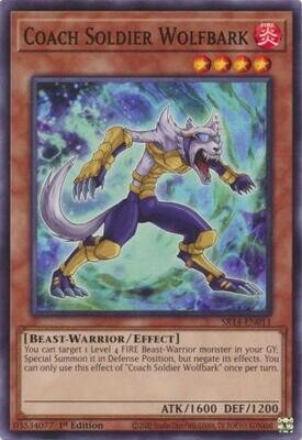 Coach Soldier Wolfbark - SR14-EN011 - Common 1st Edition Fire Kings 1st Edition Singles