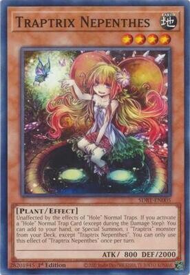 SH Traptrix Nepenthes - SDBT-EN005 - Common 1st Edition
Beware of Traptrix 1st Edition Singles
